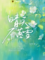 晴天不落雪章节列表
