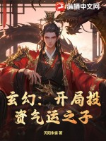 玄幻：开局投资气运之子章节列表
