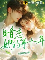 暗恋她的第十一年章节列表