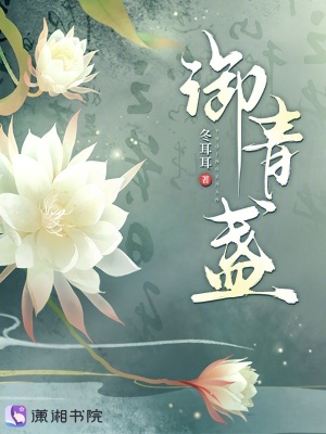 御青盏章节列表