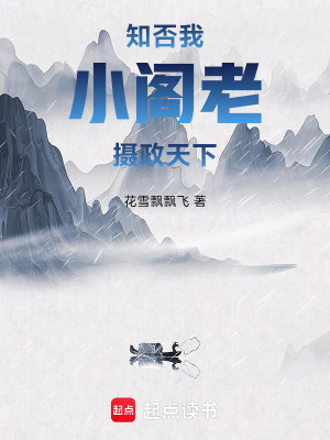知否：我，小阁老，摄政天下章节列表