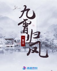 九霄归凤章节列表