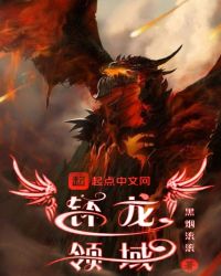 钚龙领域章节列表