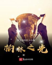柏林之光章节列表