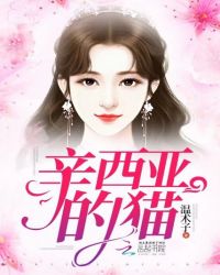 辛西亚的猫章节列表
