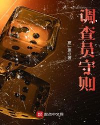 调查员守则章节列表