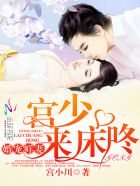 婚宠鲜妻：宫少，来床咚章节列表