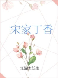 宋家丁香章节列表