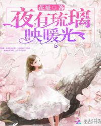 夜有琉璃映暖光章节列表