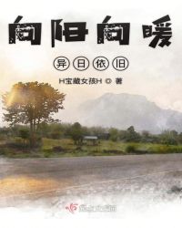 向阳向暖异日依旧章节列表