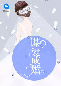 谋爱成婚章节列表
