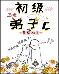 初级弟子C章节列表