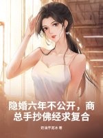 隐婚六年不公开，商总手抄佛经求复合章节列表