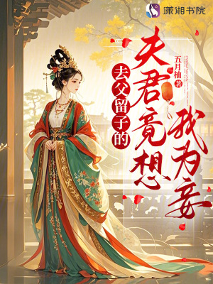 去父留子的夫君竟想我为妾章节列表