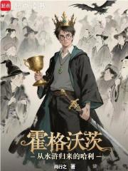 霍格沃茨：从水浒归来的哈利章节列表