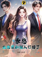 季总，太太要和别人订婚了章节列表