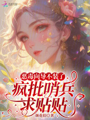 恶毒向导不装了，疯批哨兵求贴贴章节列表