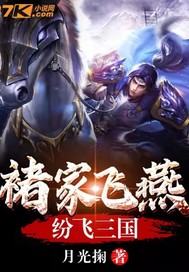 褚家飞燕纷飞三国章节列表