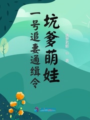 一号追妻通缉令：坑爹萌娃章节列表