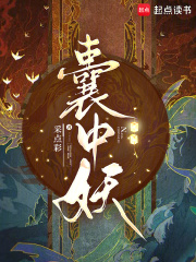 囊中妖章节列表