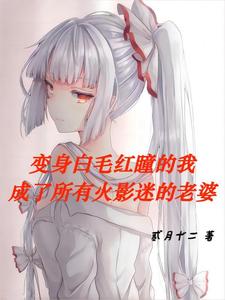 变身后，我成了所有火影迷的老婆章节列表