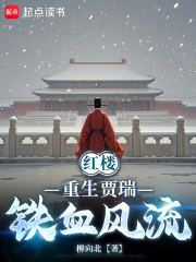 红楼：重生贾瑞，铁血风流章节列表