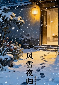 风雪夜归章节列表