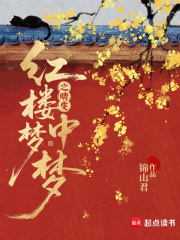 红楼梦中梦之晴雯章节列表