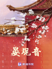 晏观音章节列表