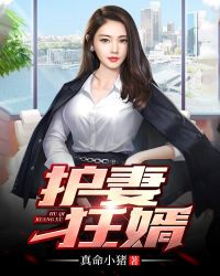 护妻狂婿章节列表