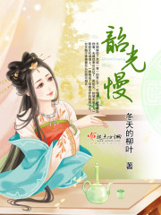 韶光慢章节列表
