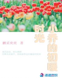 小乔的初暖时光章节列表