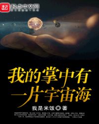 我的掌中有一片宇宙海章节列表