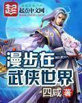 漫步在武侠世界章节列表