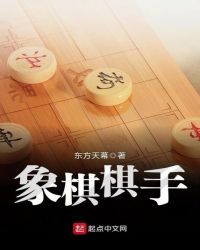 象棋棋手章节列表