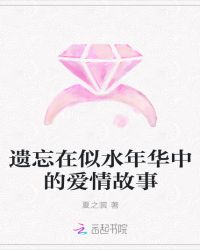 遗忘在似水年华中的爱情故事章节列表