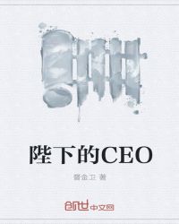 陛下的CEO章节列表