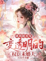 就我能看见变透明的权臣未婚夫章节列表