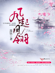 风起凤翎章节列表