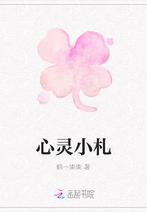 心灵小札章节列表
