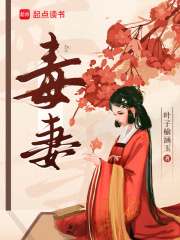 毒妻章节列表