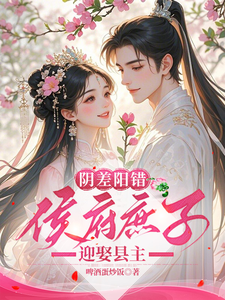 阴差阳错，侯府庶子迎娶县主章节列表
