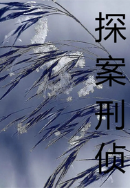 探案刑侦章节列表