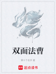 双面法曹章节列表