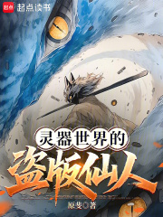 灵器世界的盗版仙人章节列表