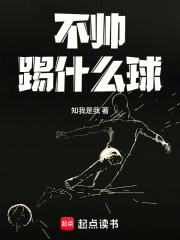 不帅踢什么球章节列表