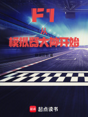 F1：从模拟器大神开始章节列表