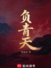 负青天章节列表