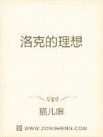 魔兽之暗影奥术师章节列表
