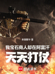 我宝石商人，却在阿富汗天天打仗章节列表